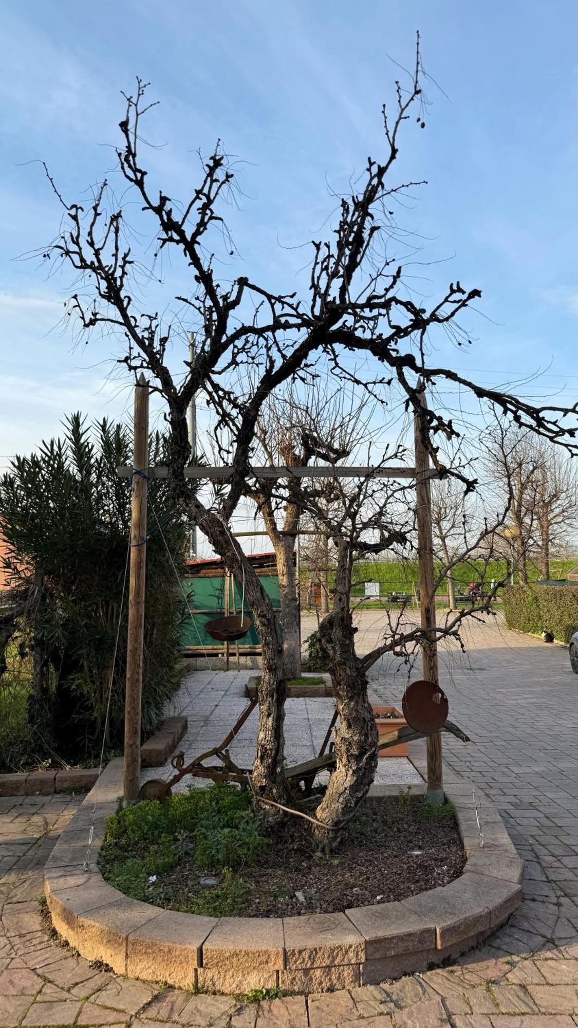 La Busa Camere E Trattoria Ponte San Nicolò Exterior foto